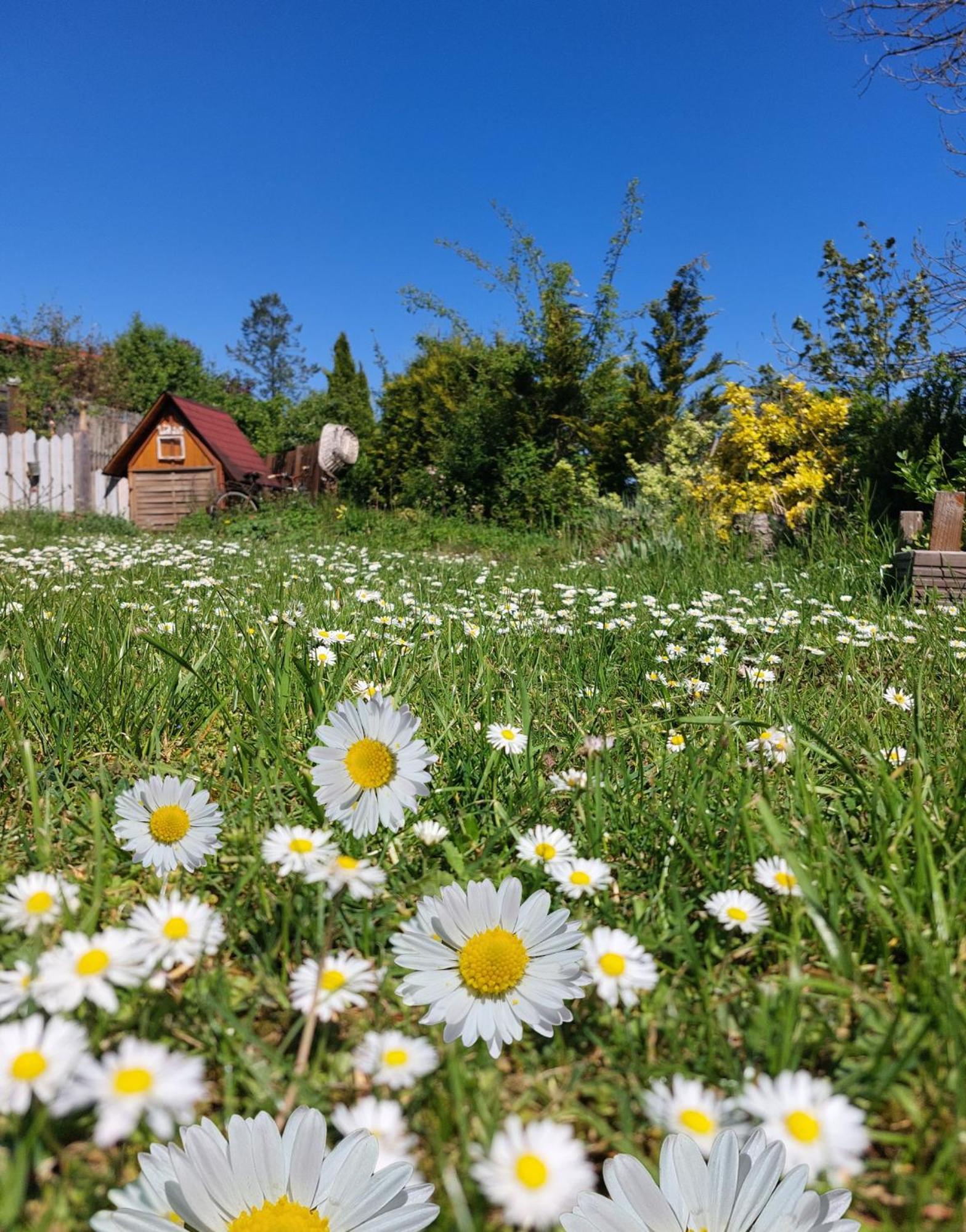 Ferienhaus Nr 2 - Das Kleine Haus Im Haus Heiligenstadt in Oberfranken Dış mekan fotoğraf